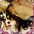 Denise Bacon Muto's profile image