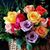 Linda Hosier-Hobbs's profile image
