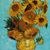 Heather Sherstad-Schaller's profile image