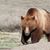 Fred Calnan's profile image