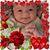 Diane Marlette Gilson's profile image