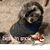 Dawn Westhouse's profile image