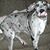 Peggy Price's profile image