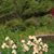 Ann Knott Long's profile image