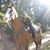 Angy Roberts's profile image