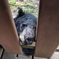 Philip Schey's profile image