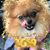 Megan Gibson Beaudet's profile image