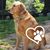 Tracy Clay Wilkerson's profile image