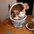 Diane Turner's profile image
