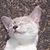 Jeanne Martin's profile image