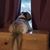 Theresa Haage Kimm's profile image