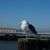 Liz Mockler's profile image