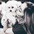 Lorraine Rubert's profile image