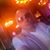 Joey Bayard's profile image