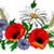 D Ann J Ohnson's profile image