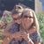 Lisa Fischer Foster's profile image