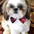 Jo-Ann Nadeau's profile image