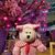 Grace Ong's profile image
