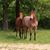 Arletta Pappan's profile image