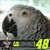 Linda Flynn's profile image
