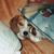 Geanne Wilson Howland's profile image