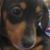 David Maynard's profile image