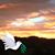 Deb Kiser Keen's profile image