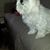 Jean Ewing's profile image