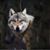 Ivolyn Meadows's profile image