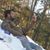 Rahul Rana's profile image