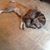 Stella-Ava Parella's profile image