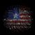 Teri Ann's profile image