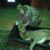 Karen Albrecht's profile image