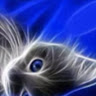 Mindy D.'s profile image