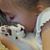 Christie Ownby Heider's profile image