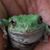 Donna Wallace's profile image