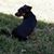 Melisa Townsend Clark's profile image