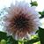 Patricia McCormick's profile image