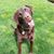 Laurie Pyle Barrett's profile image