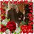 Autumn Zakhary's profile image