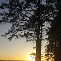 Holly A. Ojeda's profile image