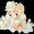 Alice Noland Quigley's profile image