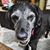 Stephanie Massey's profile image