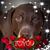 Kathy Seiler Scalf's profile image