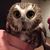 Carol Cardetti-Berger's profile image