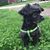 Mary Ann Norman's profile image