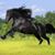 Chimino Lopez's profile image