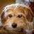 Clare Velonis's profile image