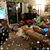 Jacquelyn Reeves's profile image