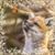 Bobbi M. Gostomski's profile image